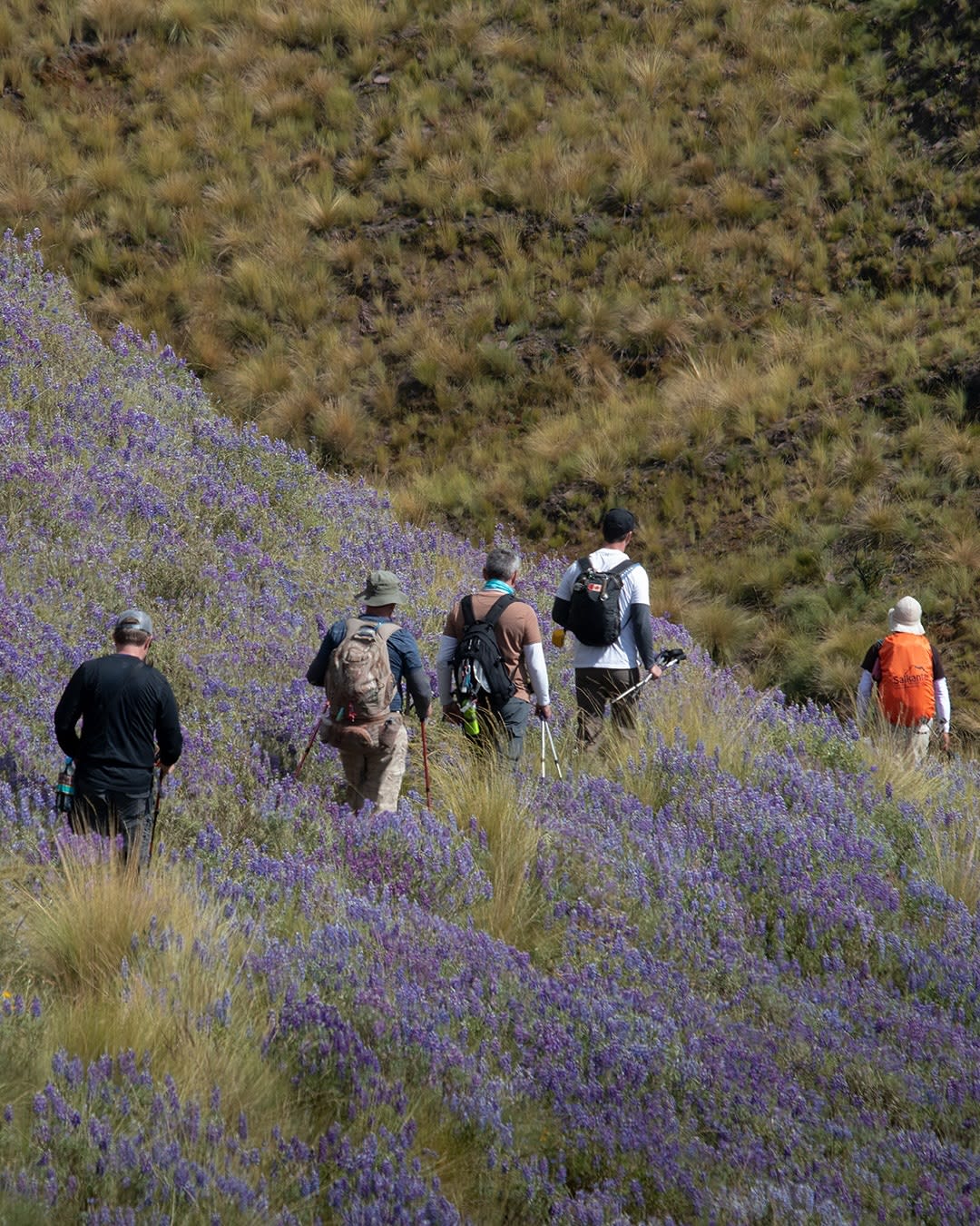 The Huchuy Qosqo Trek
