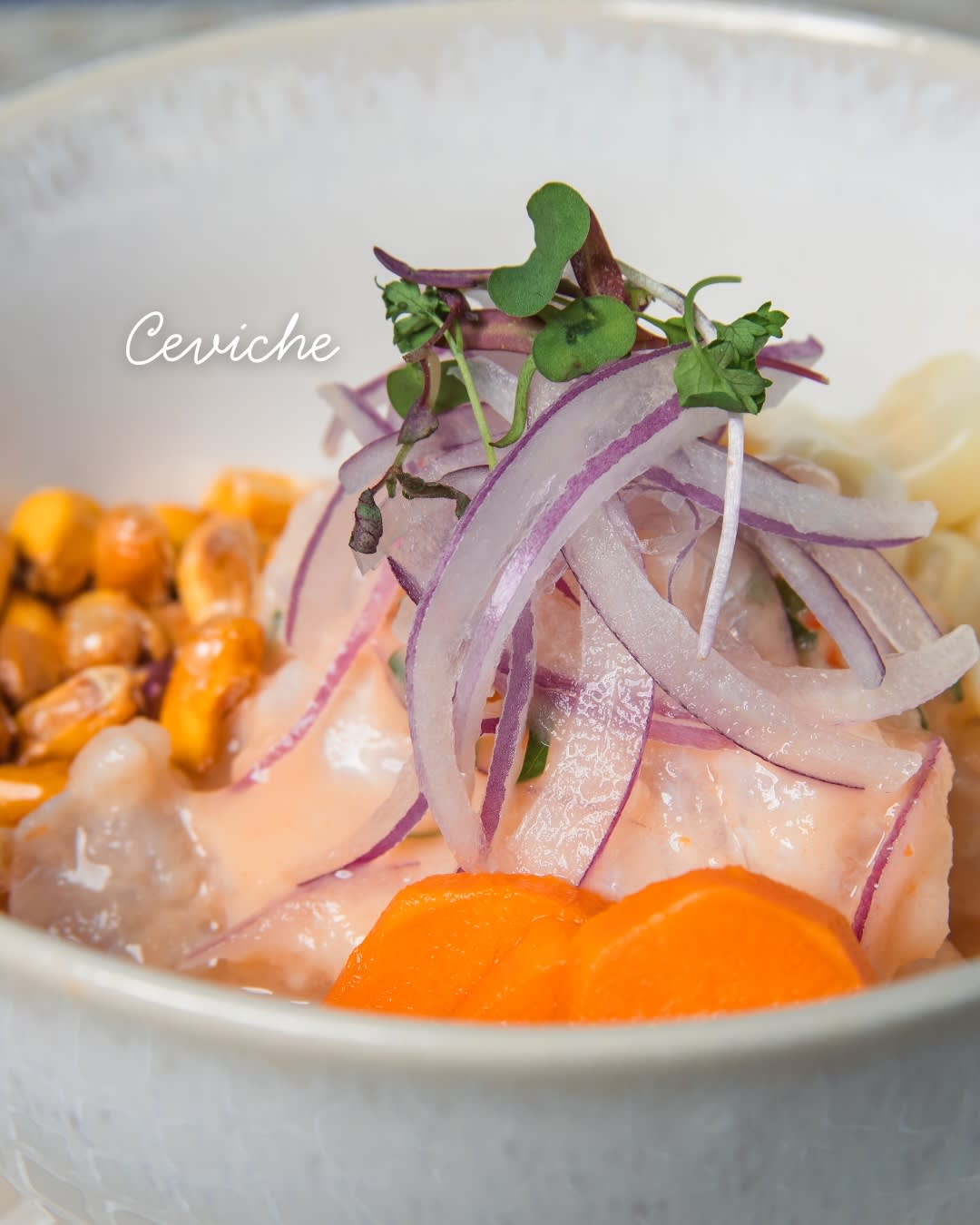 Ceviche
