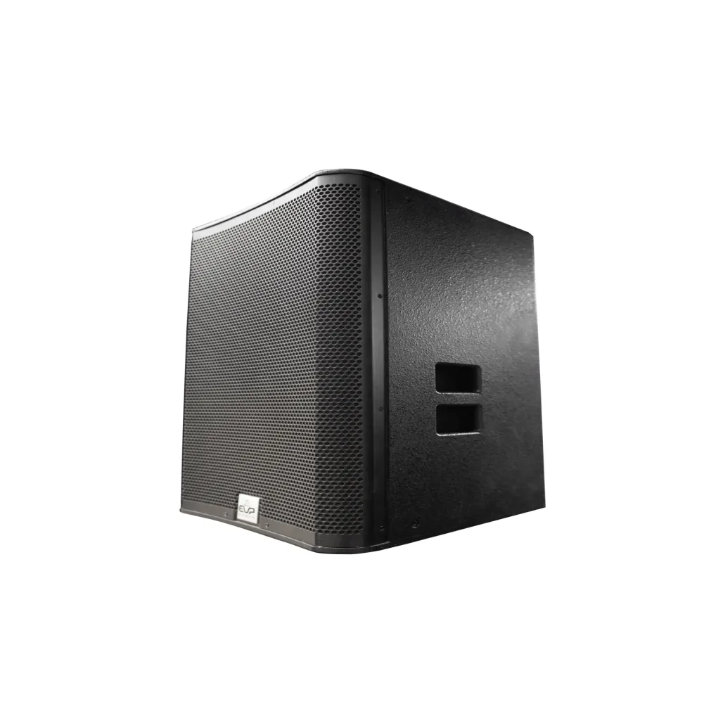 EVP M12 Passive Stage Monitor EVP-AUDIO Passive PA Speakers main view audio equipment Kenya