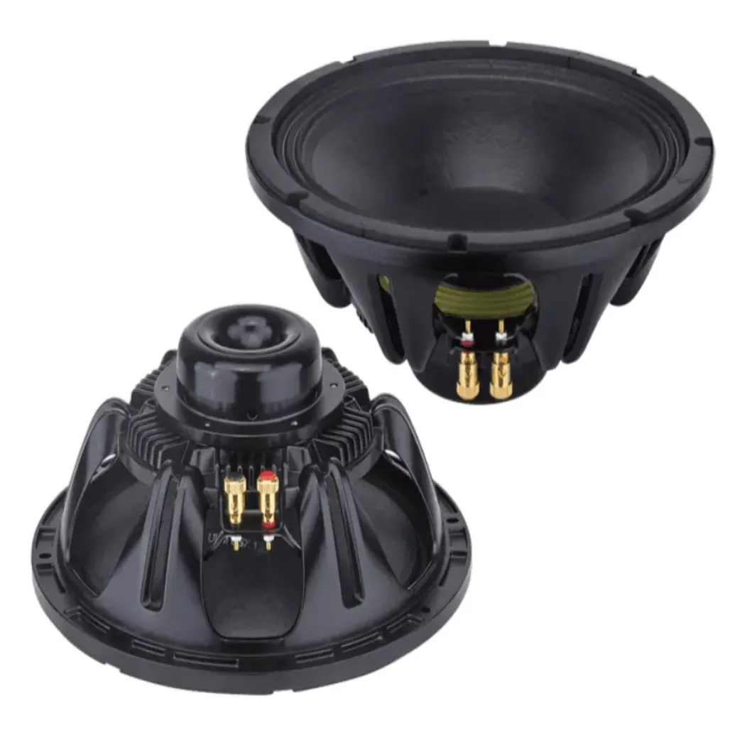 Neodynium 12-Inch Naked Speaker Driver NEODYNIUM main view audio equipment Kenya