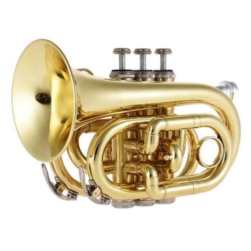 Voice of Heaven Professional Gold Pocket Trumpet - Image 1