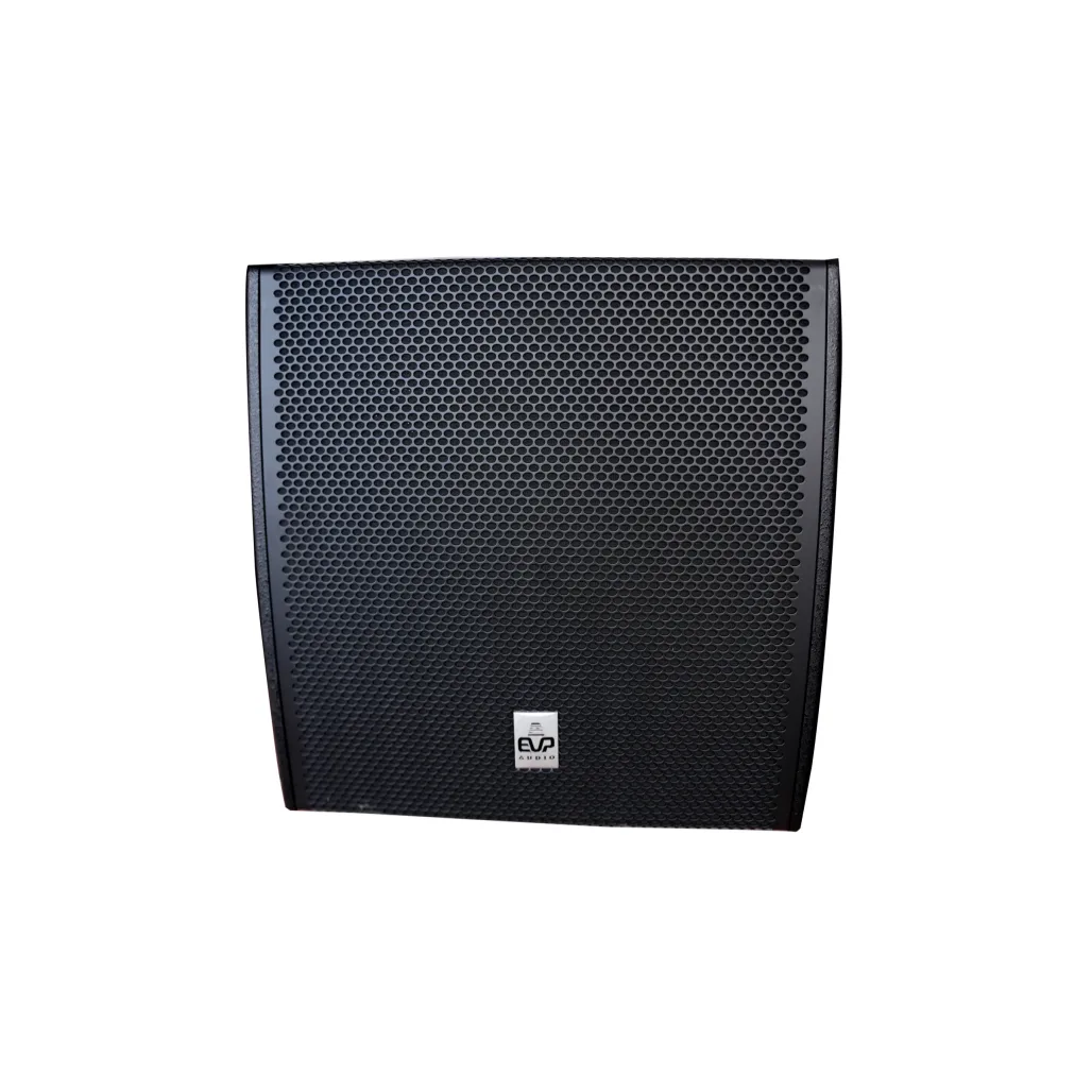 EVP Professional Q112 12-Inch Passive PA Speaker EVP-AUDIO Passive PA Speakers main view audio equipment Kenya