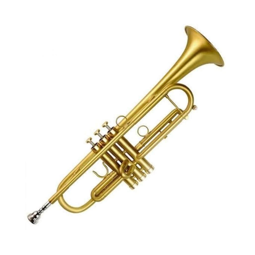 Professional Standard Brass B-Flat Trumpet (Model B) - Image 1