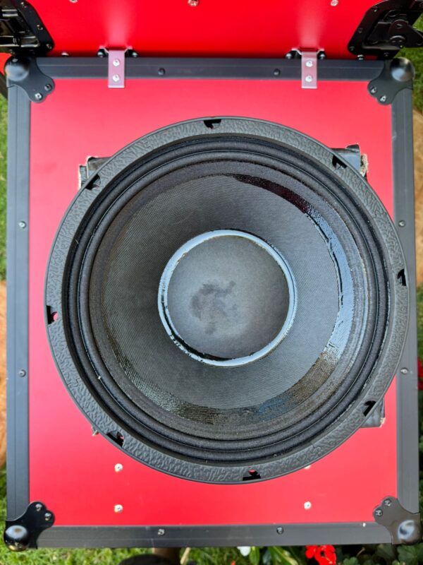 NR 12WF335 Naked Speaker - Image 1