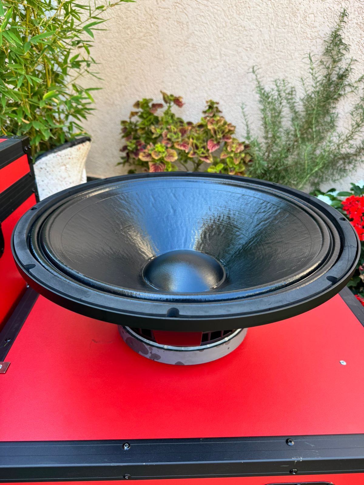 BM 18az 20 Naked Speaker - Image 1