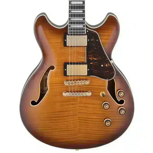 Ibanez 40 Semi - acoustic Guitar IBANEZ Rosewood or Laurel Slim Semi-Acoustic main view audio equipment Kenya