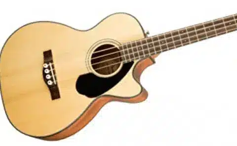 Professional 4-String Semi-Acoustic Hollow-Body Bass Guitar - Image 1