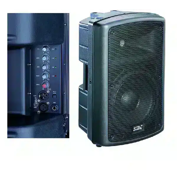 Soundking 15-Inch FP 215 Professional Passive Speaker SOUNDKING 15-Inch Passive 2-Way Loudspeaker main view audio equipment Kenya