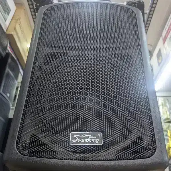 Soundking FP215A 15-Inch Active High-Power PA Speaker - Image 1