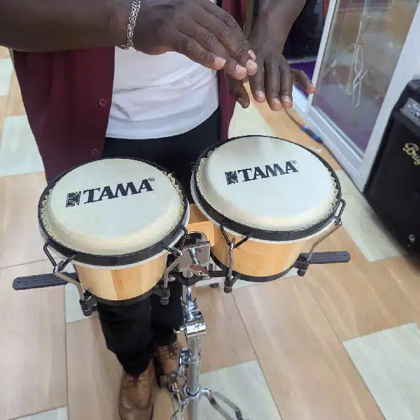 Tama Professional Natural Finish Acoustic Bongo Drums TAMA Educational Percussion Acoustic Bongo Drums High-Quality Wood Shells main view audio equipment Kenya