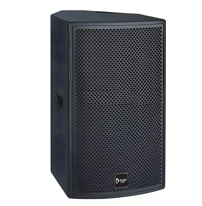Thunder Sound TH110 10-Inch Professional Passive Loudspeaker - Image 1