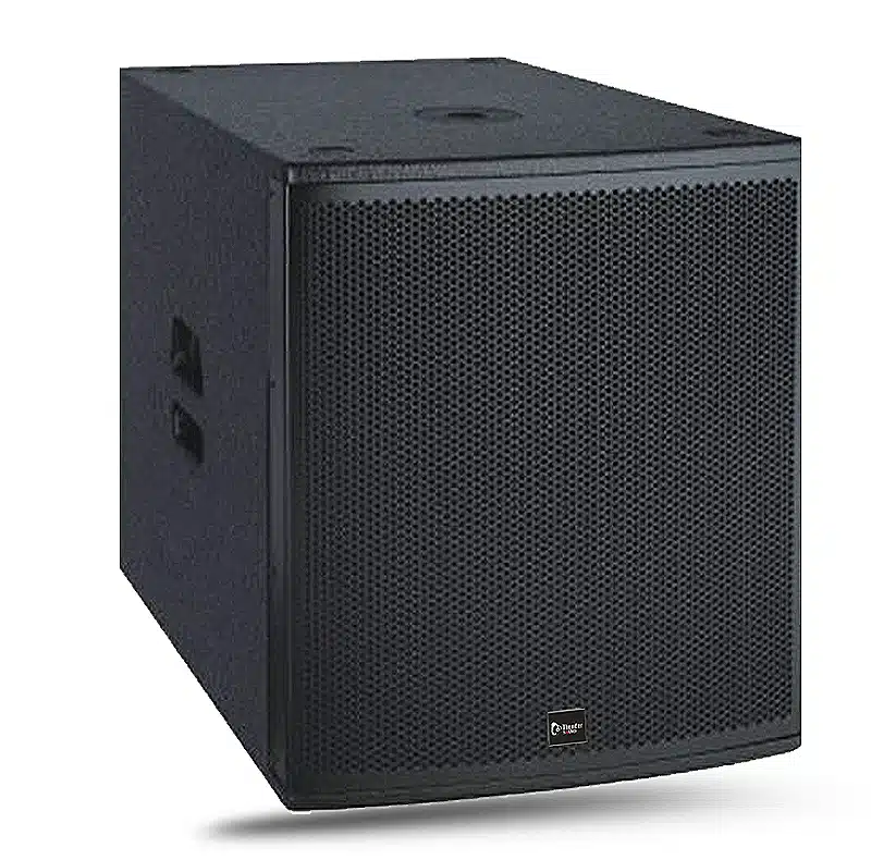 Thunder Sound TH118P 18-Inch Professional High-Power Subwoofer