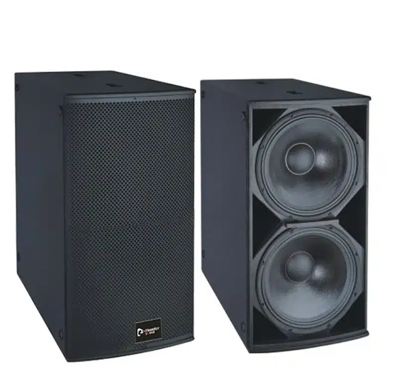 Thunder Sound TH228 Dual 18-Inch Professional Passive Subwoofer System - Image 1