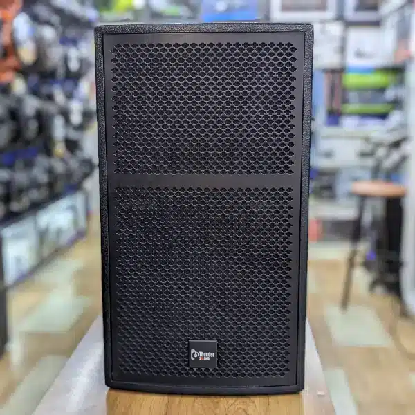 Thunder Sound TS 112 12-Inch Professional Passive Speaker System - Image 1