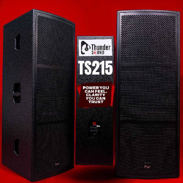 Thunder Sound TS 215 Dual 15-Inch High-Output Passive Loudspeaker - Image 1