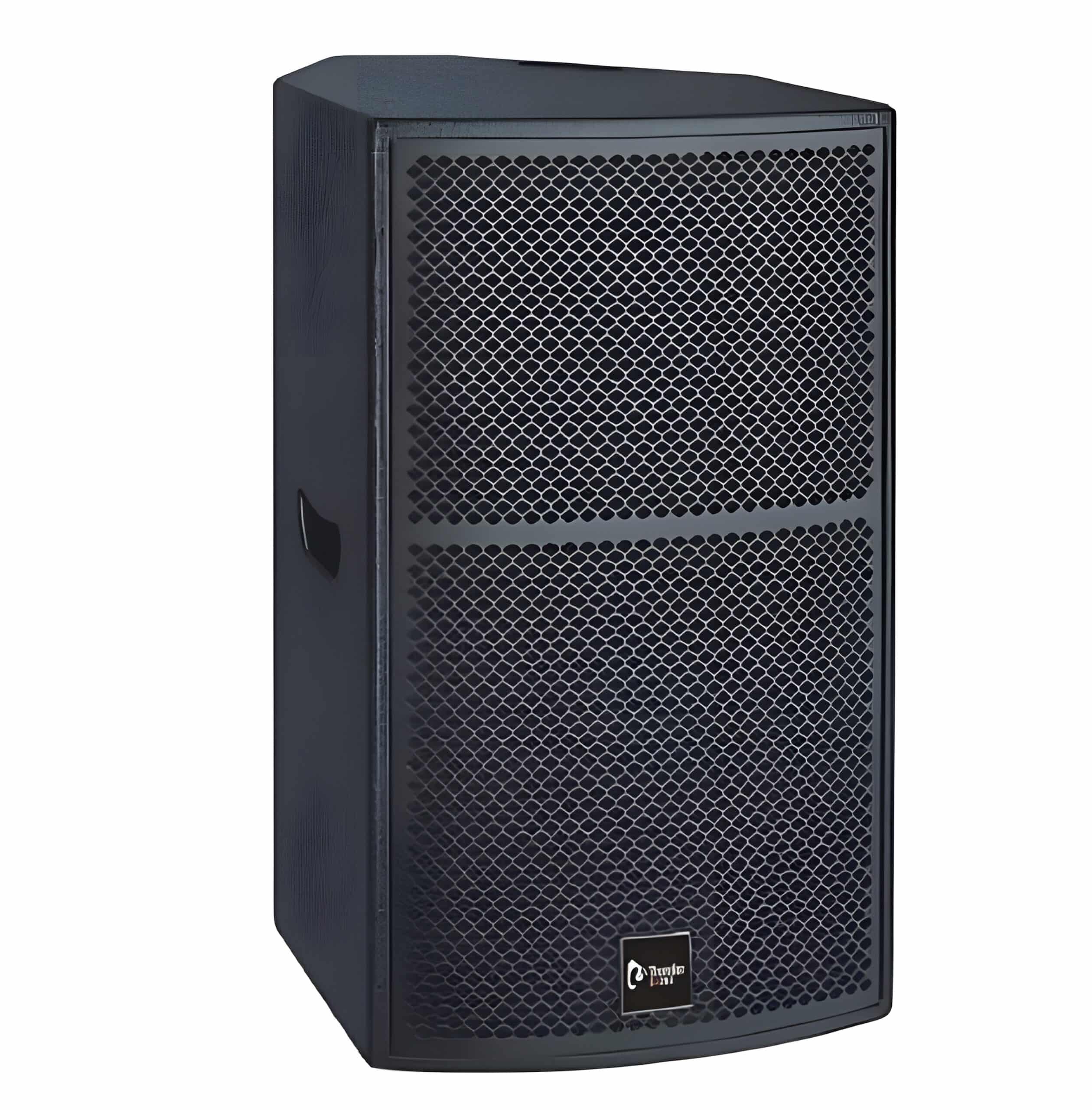 Thunder Sound TS1 12 Professional Compact Two-Way Loudspeaker - Image 1
