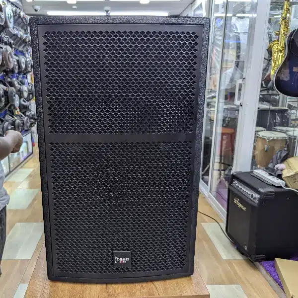 Thunder Sound TS115 15-Inch Professional Passive Speaker System THUNDER SOUND main view audio equipment Kenya