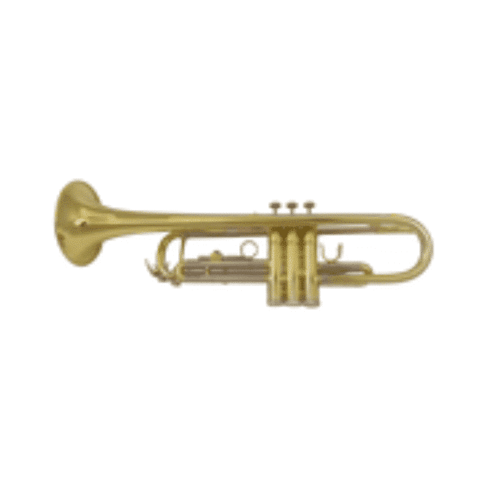 Bb Trumpet Professional Student & Intermediate Brass Instrument GENERIC PRO Medium-Large (.459") main view audio equipment Kenya