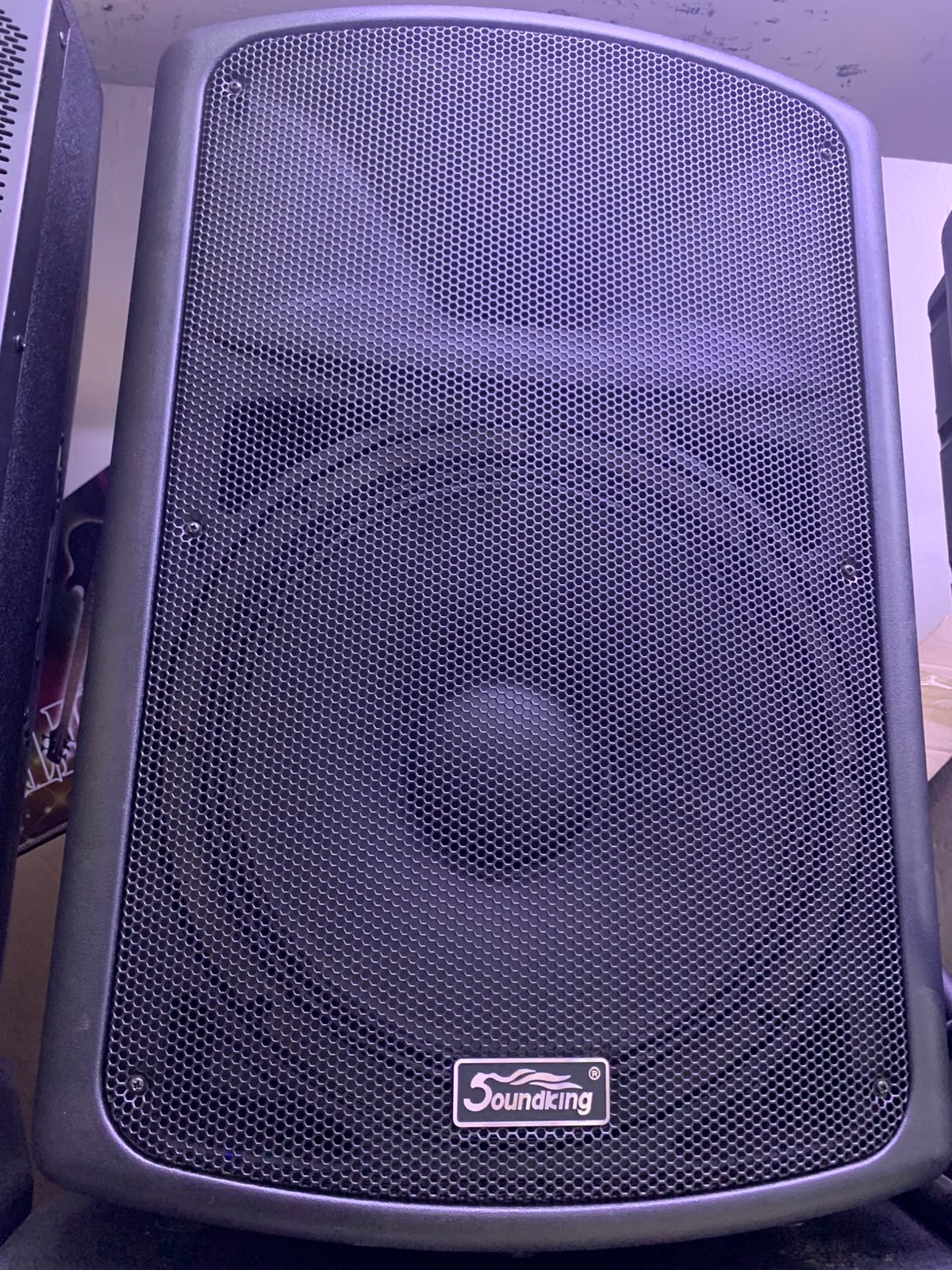 Soundking FP215A-1 Active 15-Inch Powered Speaker SOUNDKING Two-way active loudspeaker main view audio equipment Kenya