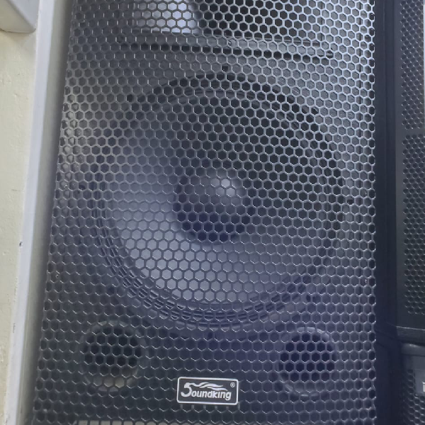 Soundking Wooden Box Speaker SOUNDKING Wood main view audio equipment Kenya