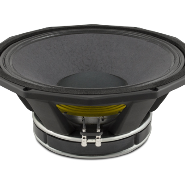 PD.1850 18-Inch Naked Subwoofer Speaker - Image 2