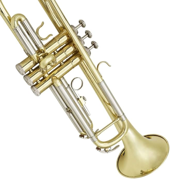 Suzuki Trumpet - Image 3