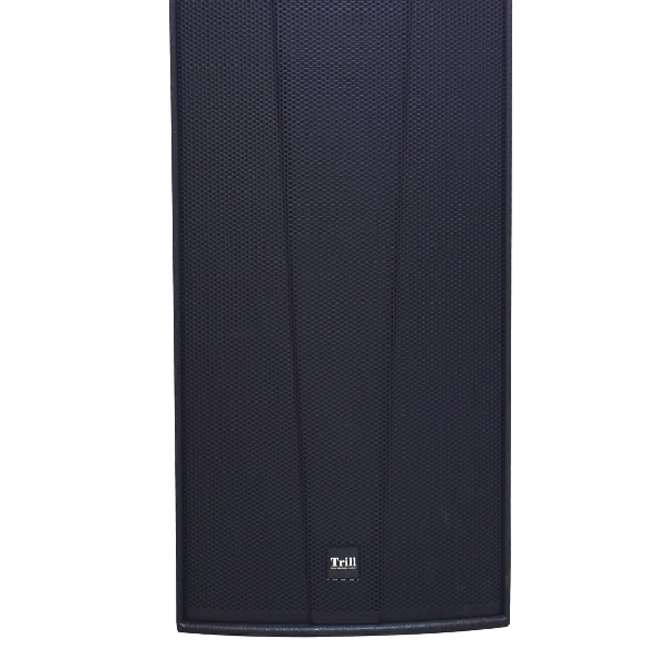 Trill NP-4025 Full-Range Speaker - Image 3
