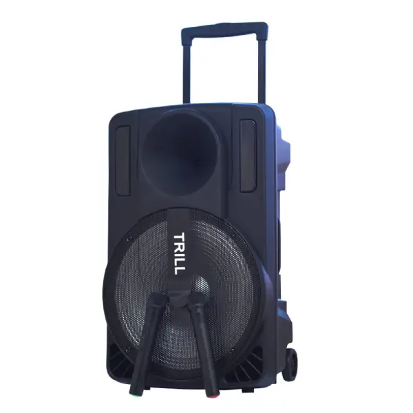 Trill Powered 15-Inch Speaker TRILL 15 inches Powered (active) loudspeaker main view audio equipment Kenya