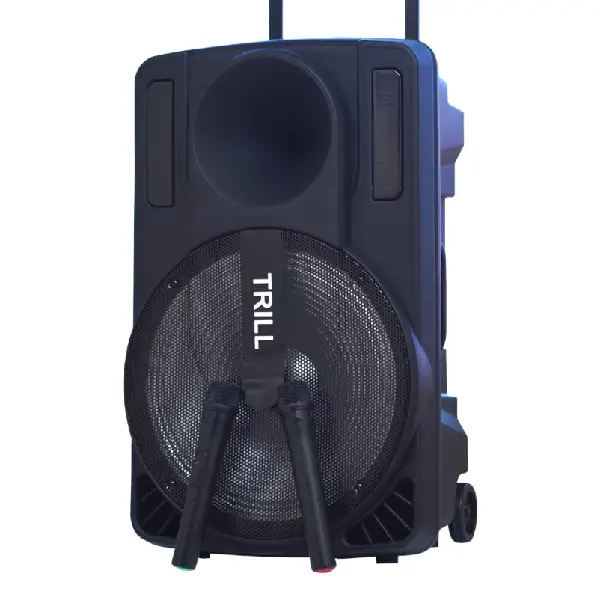 Trill Powered 15-Inch Speaker - Image 2