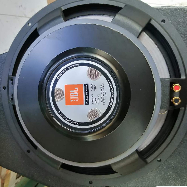 JBL 18-Inch Bass Naked Speaker - Image 2
