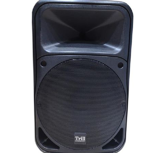 Trill TR-8815 Professional Speaker TRILL Professional loudspeaker main view audio equipment Kenya