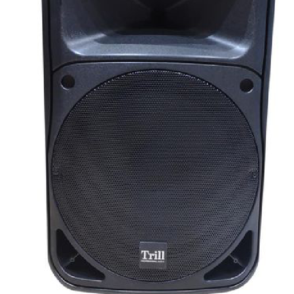 Trill TR-8815 Professional Speaker - Image 3