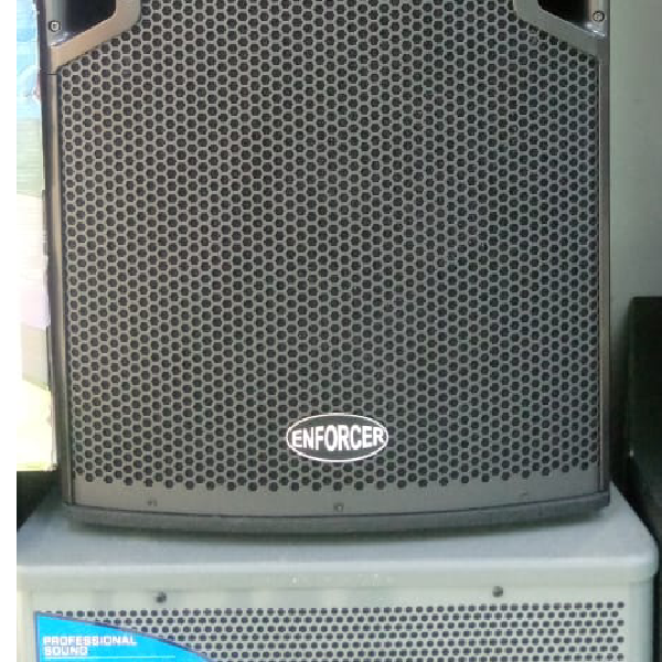 Enforcer EV-15 Midrange Speaker - Image 3