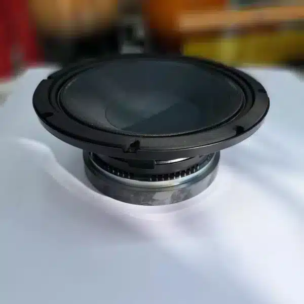 RCF 12-Inch Midrange Speaker RCF main view audio equipment Kenya