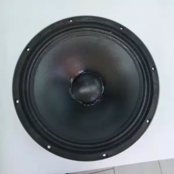 BM18AZ20 18" Bass Naked Speaker Driver - Image 1