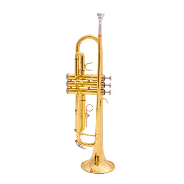 Professional Bb Trumpet – Silver/Gold Finish GENERIC PRO Brass Silver or gold plating main view audio equipment Kenya