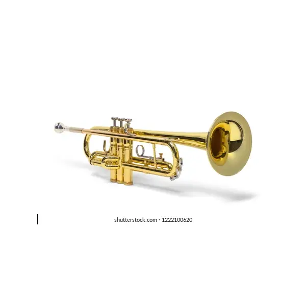 Professional Bb Trumpet – Silver/Gold Finish - Image 2