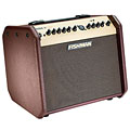 Fishman Loudbox Mini 60W Acoustic Combo Amplifier - Image 5