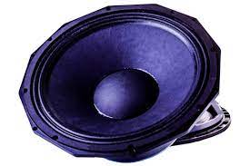 PD 18-Inch Subwoofer Speaker Driver - Image 2
