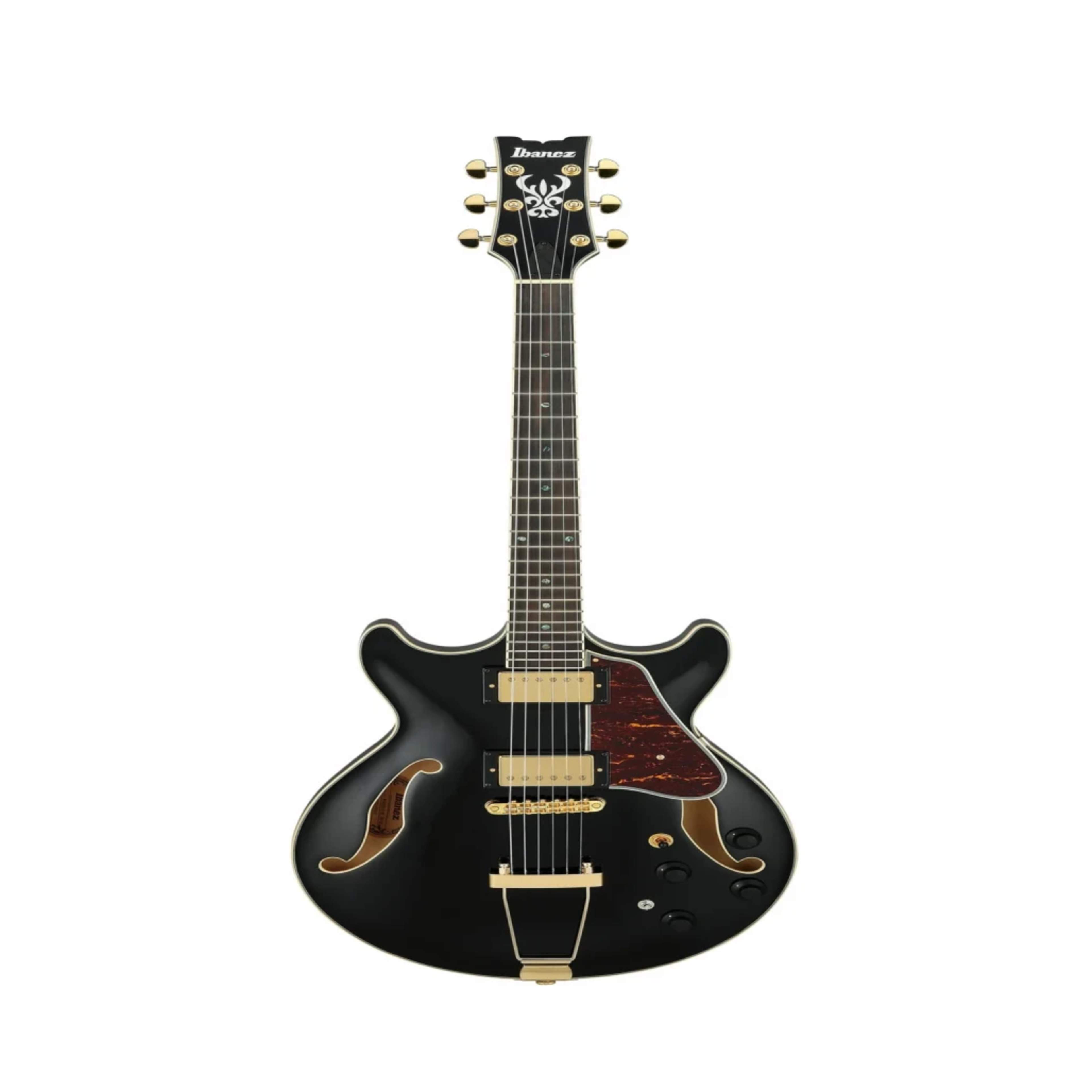 Ibanez Hollow-Body Jazz Guitar IBANEZ 24.7" (Standard ES Style) Chrome Finished Professional main view audio equipment Kenya