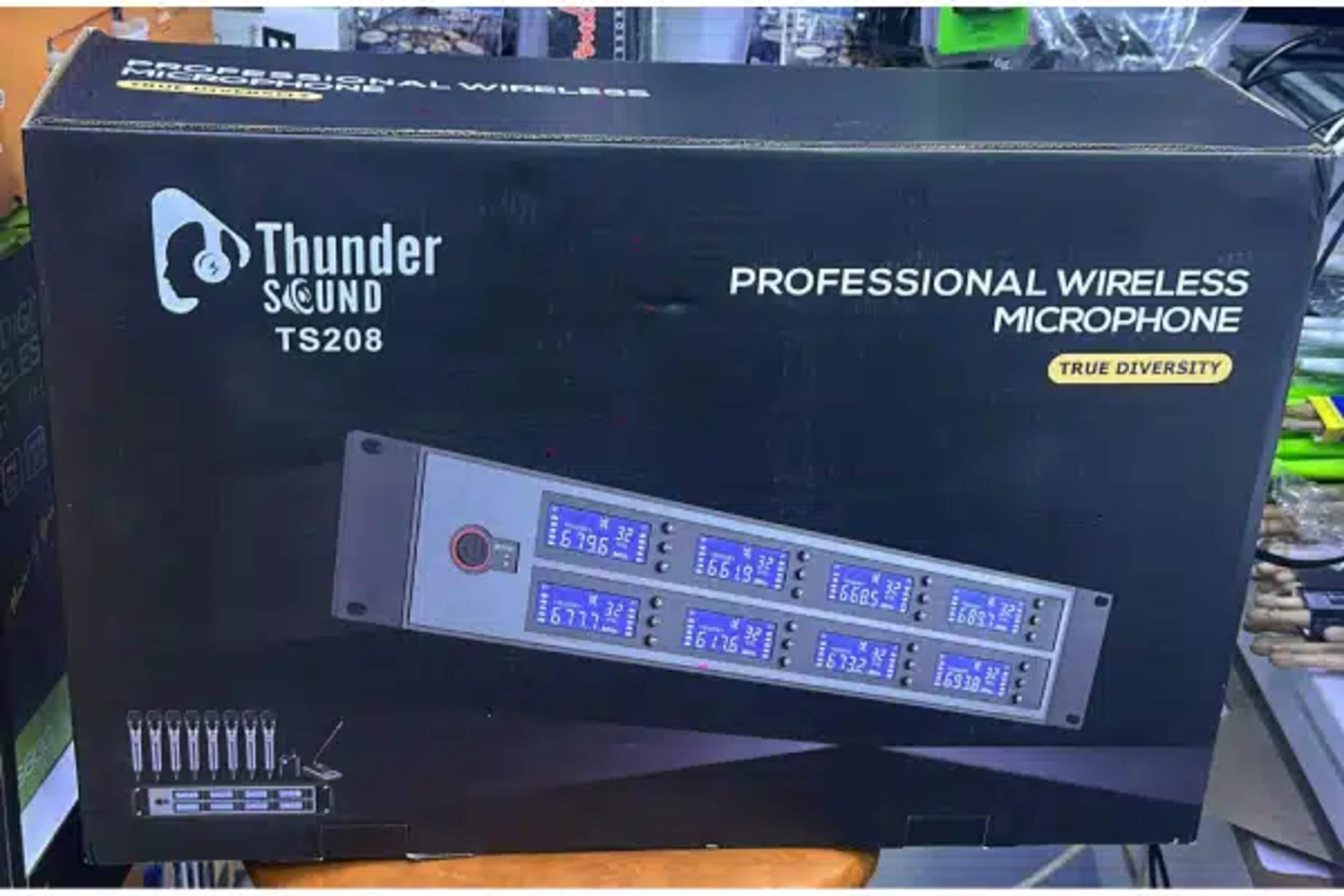 Thunder Sound TS208 Professional High-Performance Dual Wireless Microphone System THUNDER SOUND High-Performance Dual Wireless System main view audio equipment Kenya