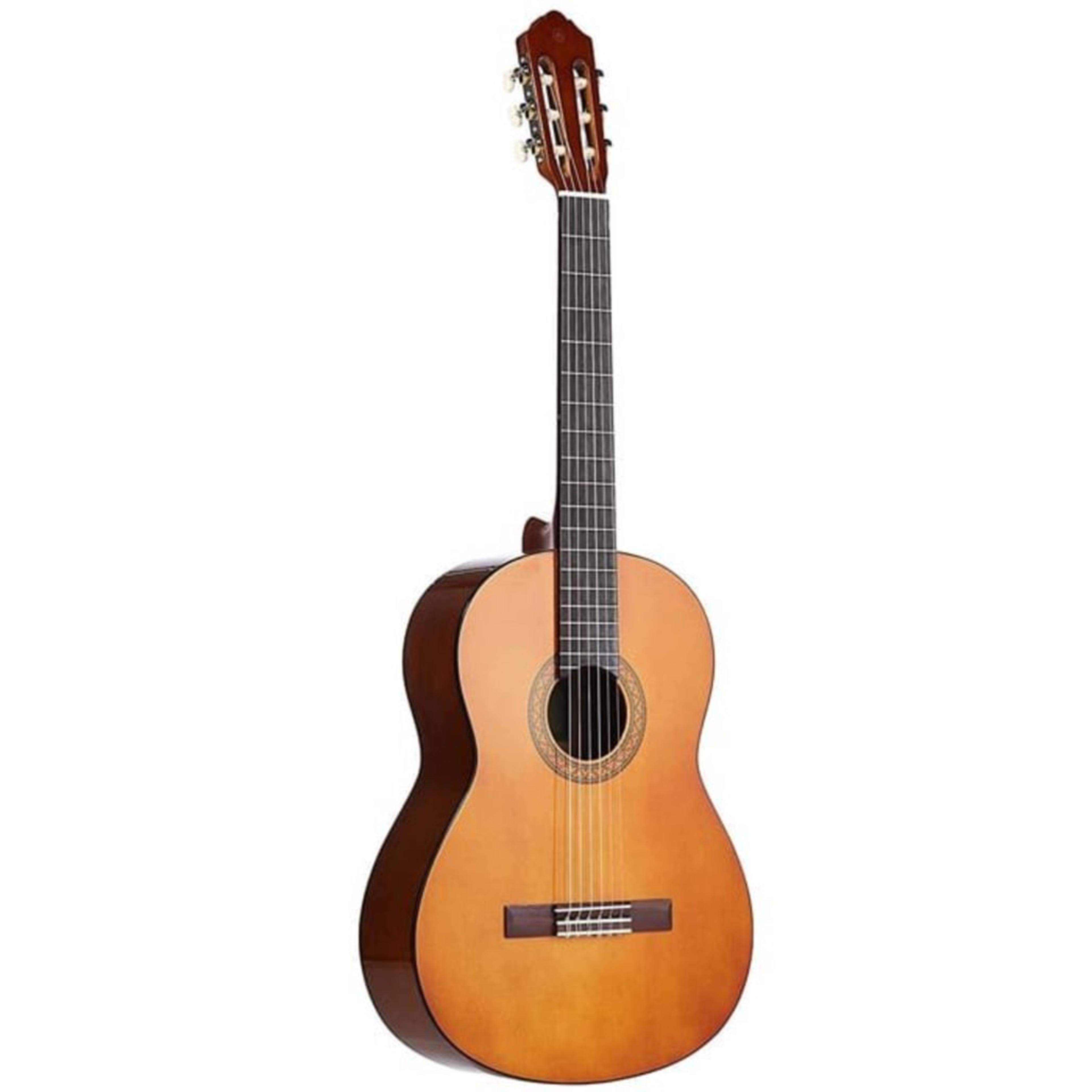 Eclipse Professional Classical Nylon-String Student Guitar - Image 1