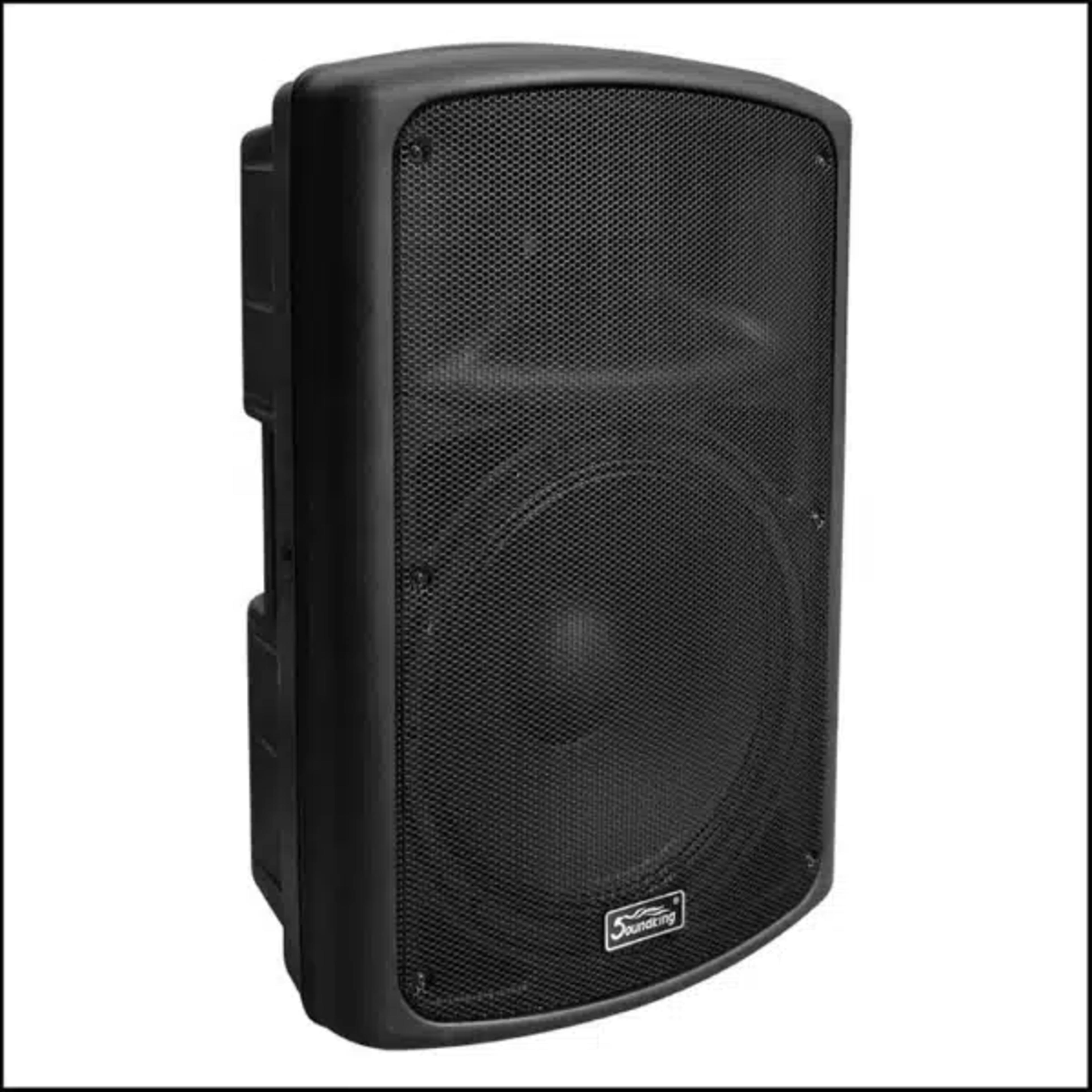 Soundking 10-Inch FP 210 Professional Passive Speaker - Image 1