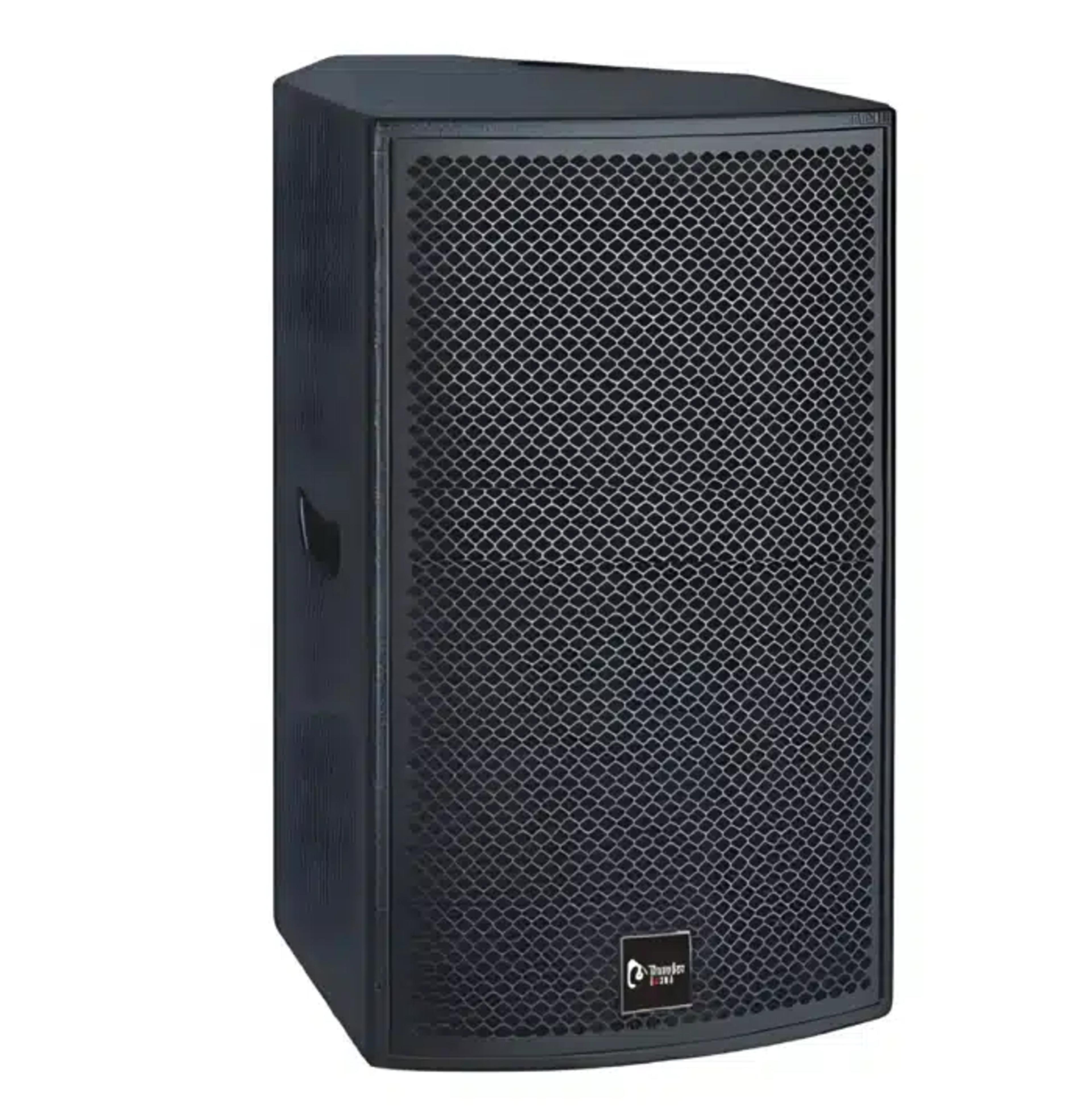 Thunder Sound TH110 10-Inch Professional Passive Loudspeaker - Image 1