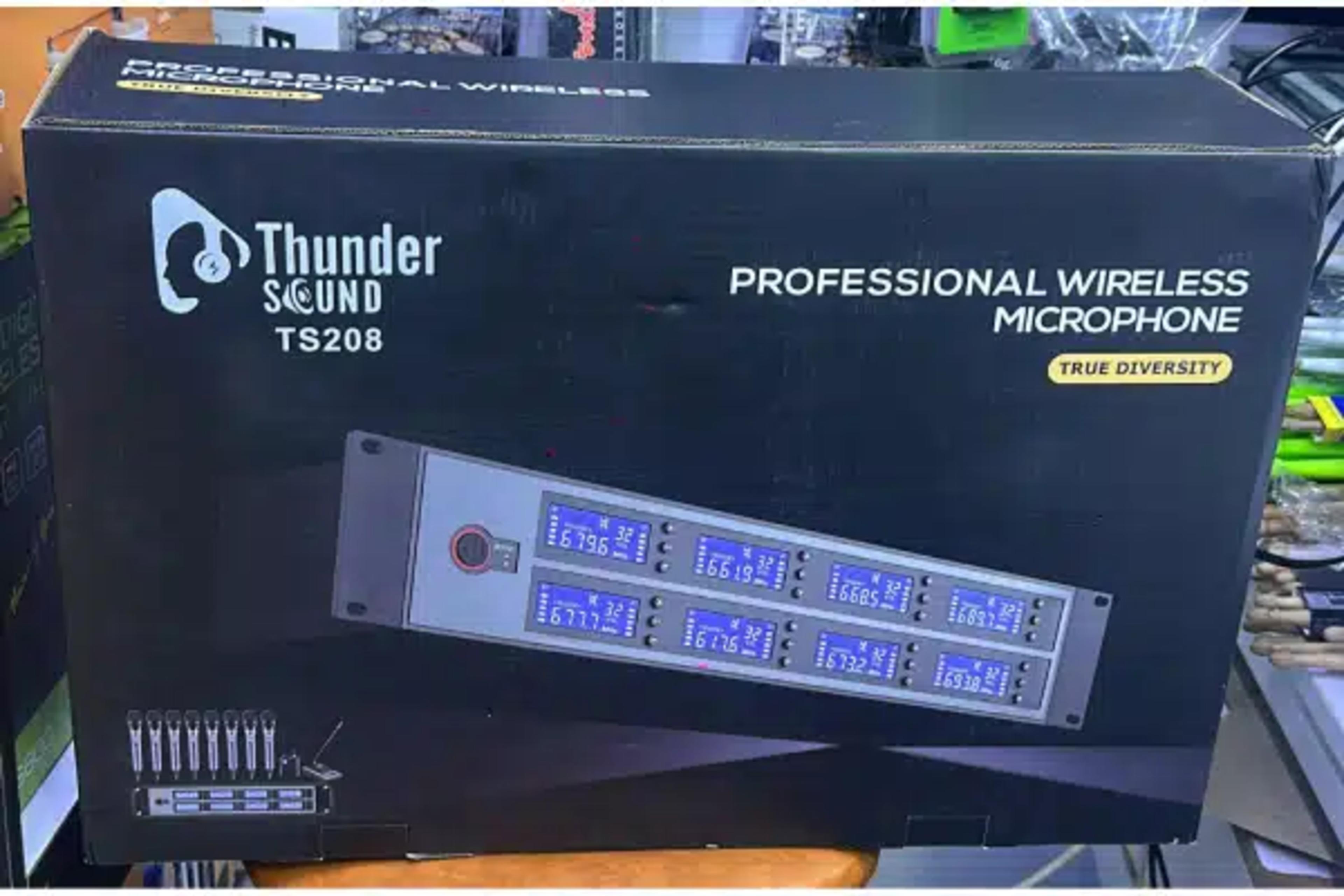 Thunder Sound TS208 Professional High-Performance Dual Wireless Microphone System - Image 1