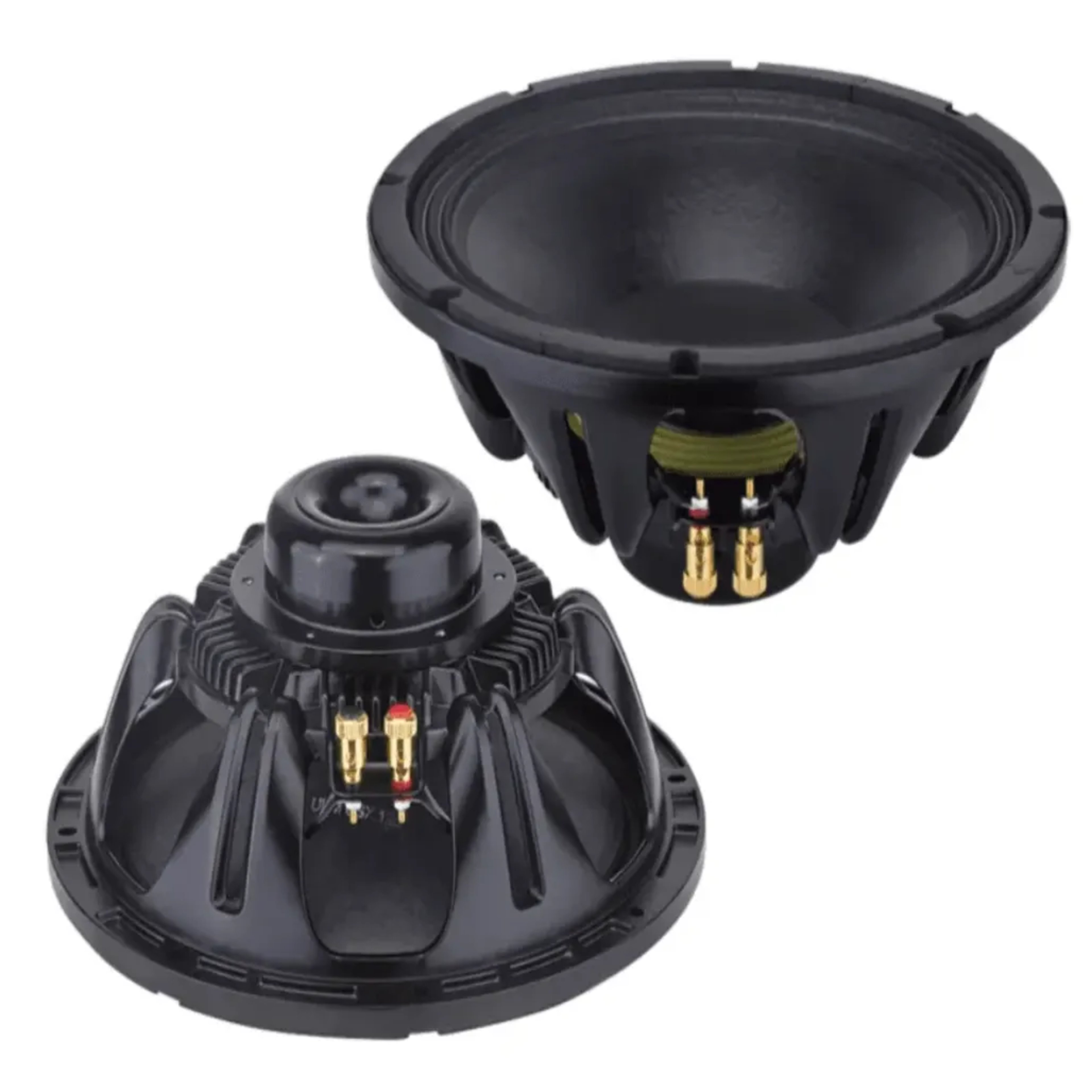 Neodynium 12-Inch Naked Speaker Driver NEODYNIUM Naked Speaker Drivers main view audio equipment Kenya