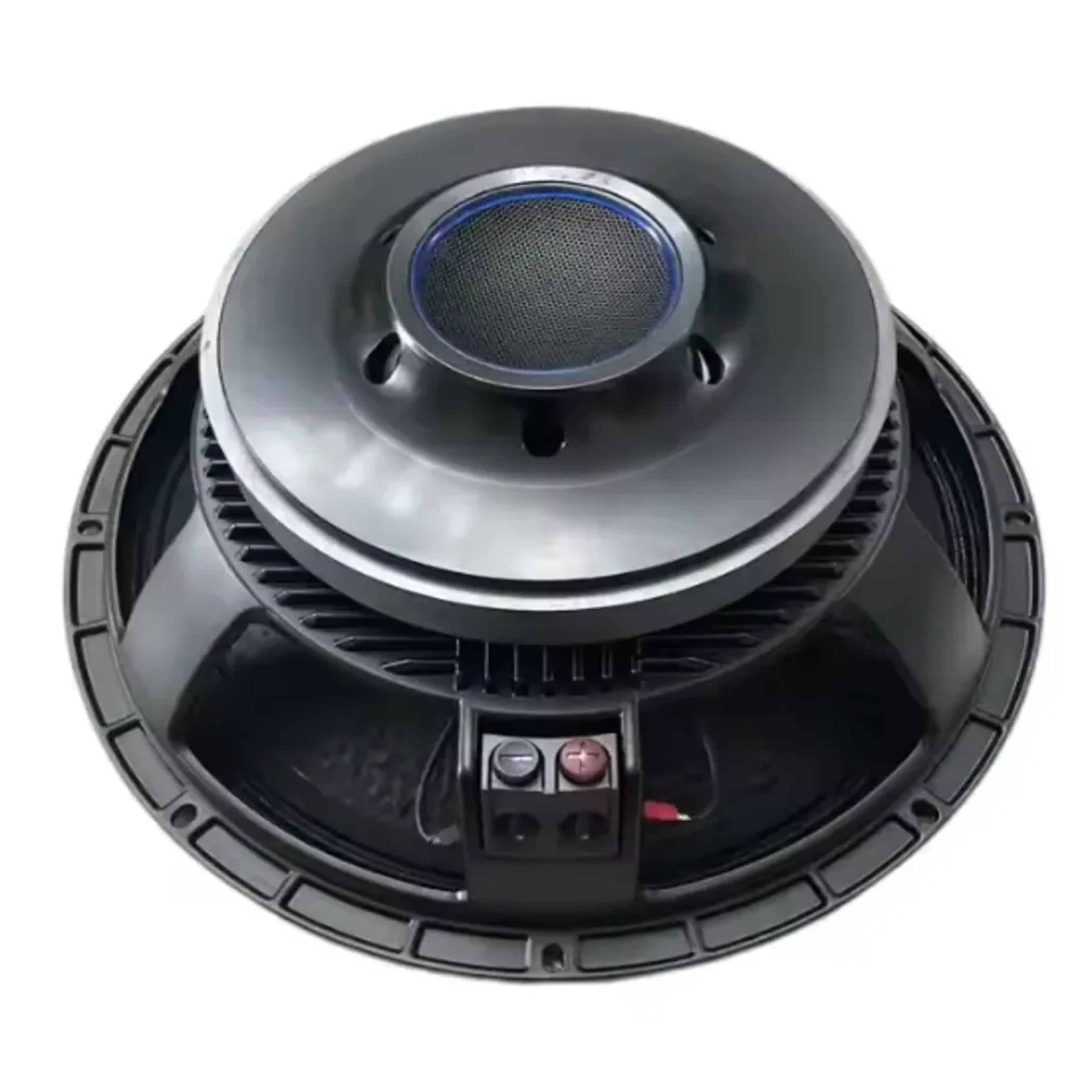 Iz-Rael Vibrations 15-Inch Naked Speaker Driver – RCF Style IZ-RAEL VIBRATIONS Naked Speaker Drivers High-Flux Ceramic (Ferrite) Magnet Professional 15-Inch Naked Raw PA Driver main view audio equipment Kenya