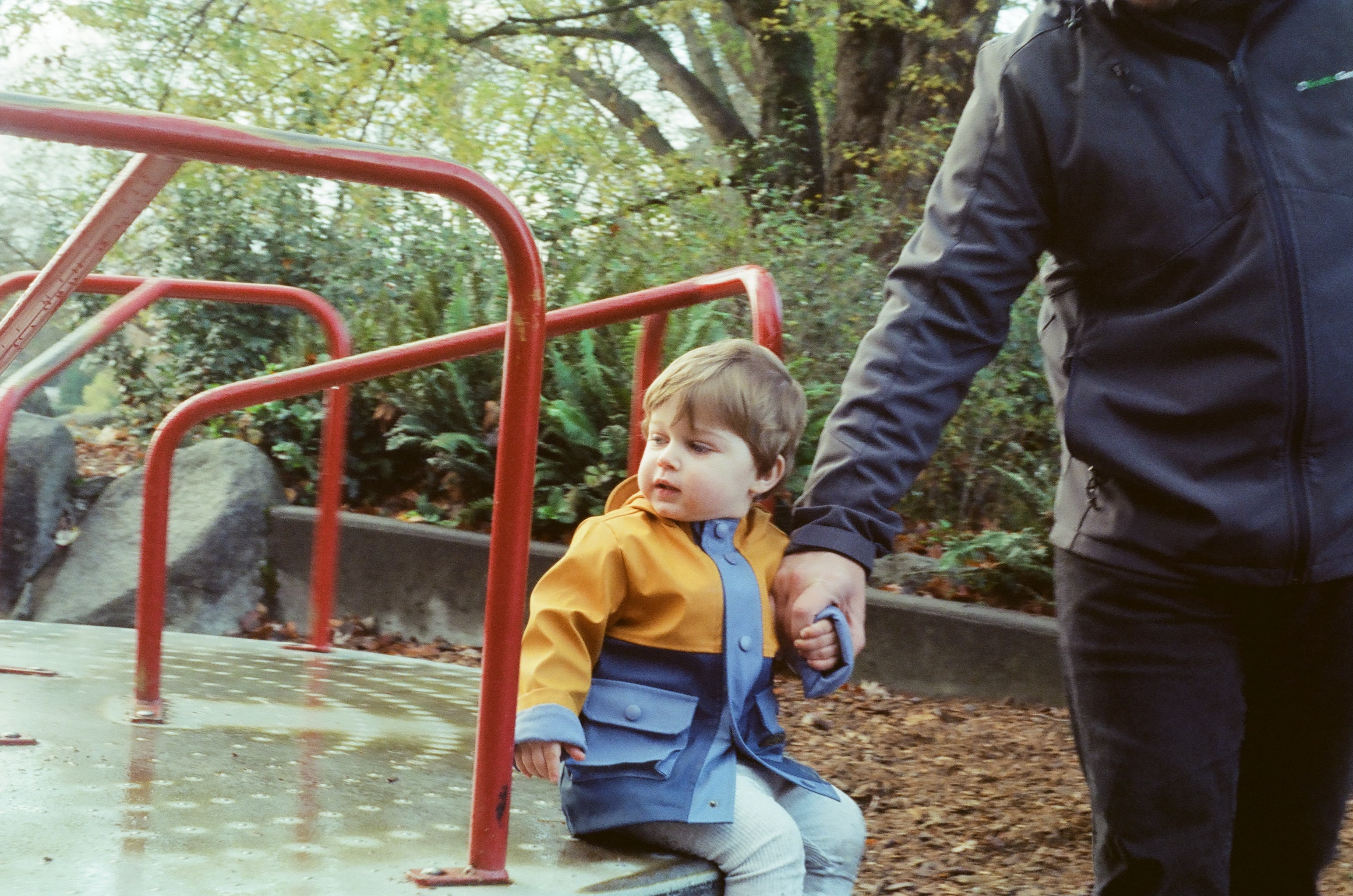Any film photographers out there? (photo 1 of 5)
