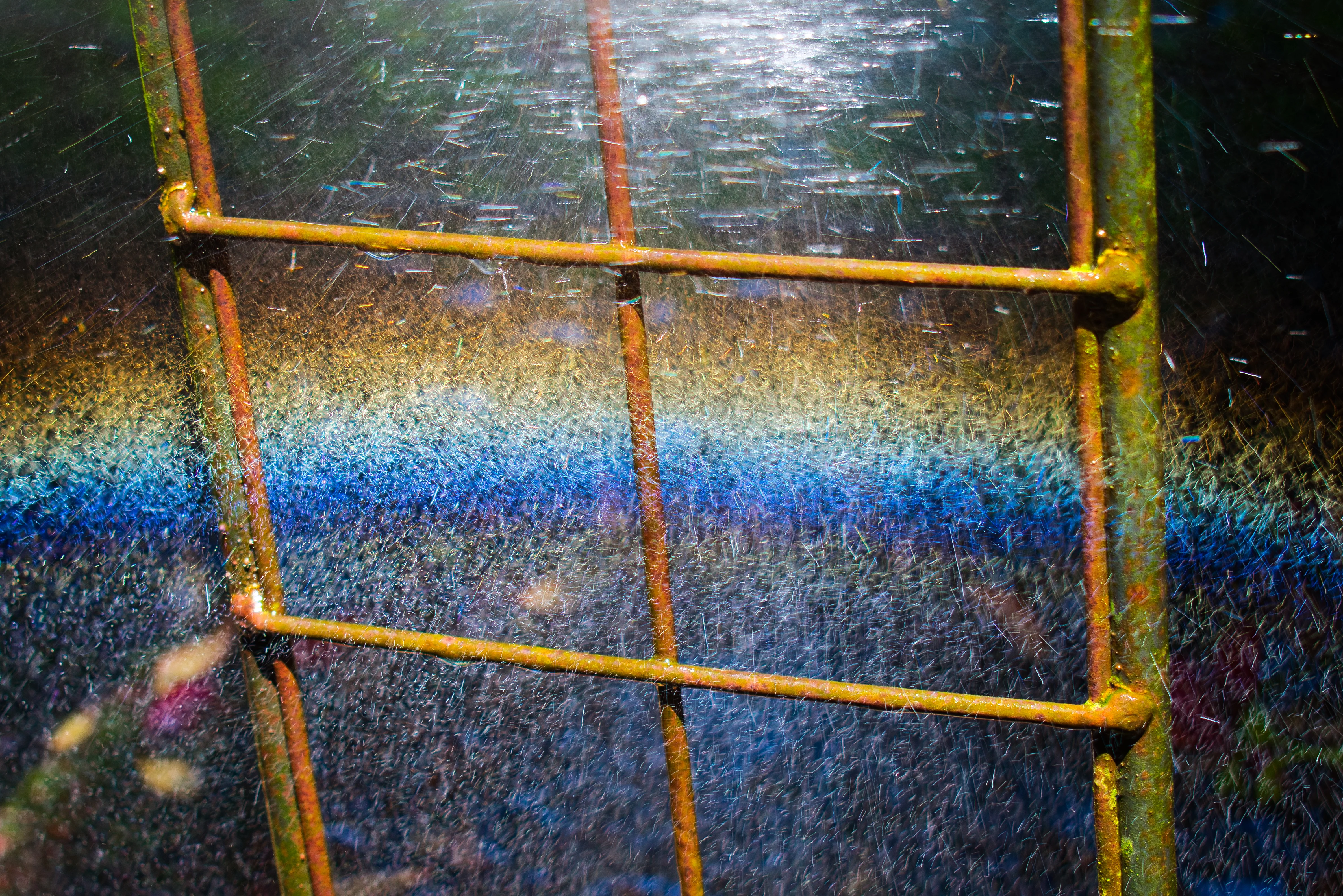Rainbows & Sunshine - Week #3 (photo 1 of 2)