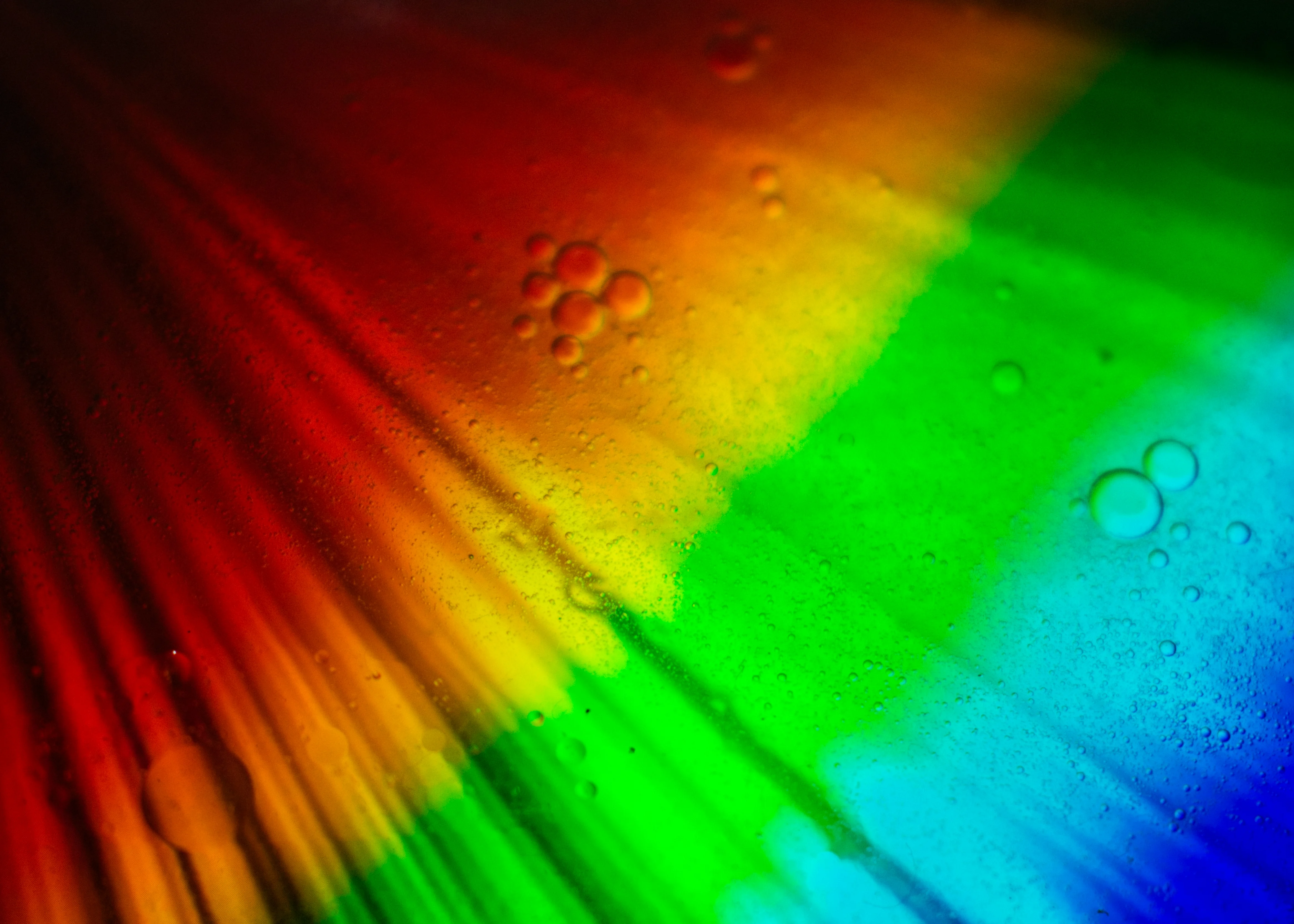 Rainbows & Sunshine - Week #3 (photo 2 of 2)
